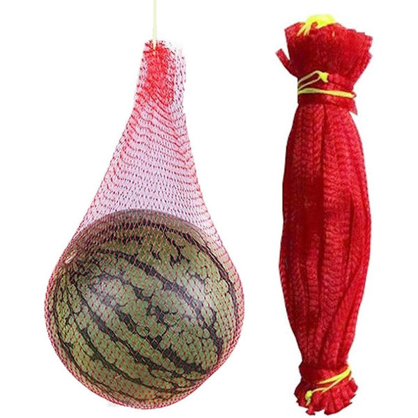 100 st Vattenmelon Mesh 60CM 60CM 60cm