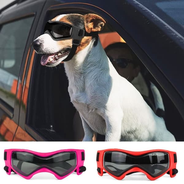 Pet Solbriller Pet Goggles SORT black