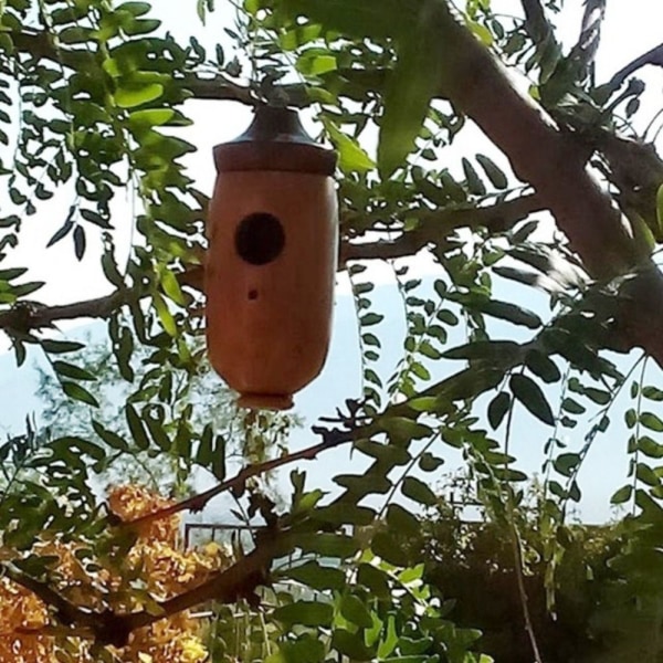 Hummingbird House Hummingbird Nest C C C