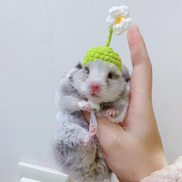 Hamsterhatt Smådjursmössa TYP C TYP C Type C