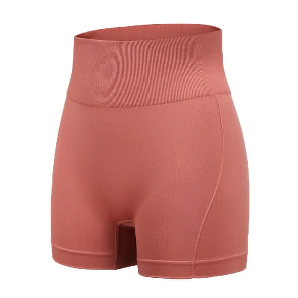 Sportsshorts Yogashorts BRICK RED Brick Red