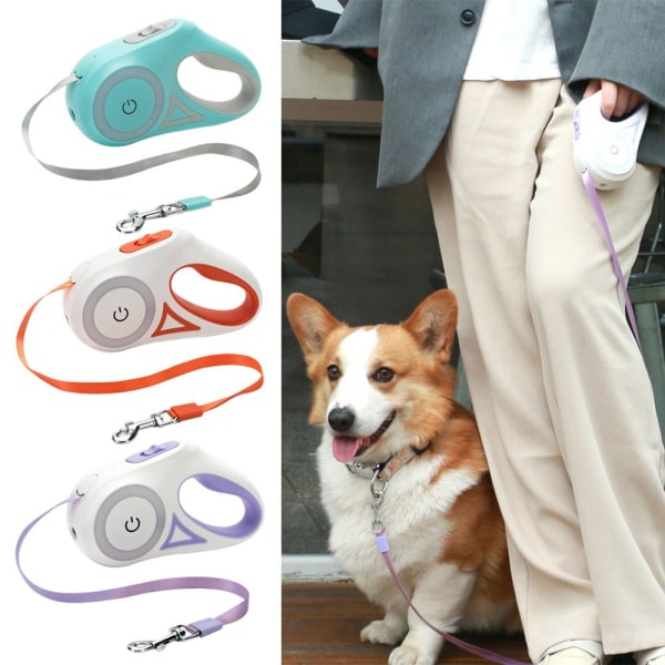 Hundesnor Pet Walking Ledninger ORANGE orange