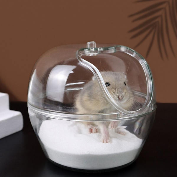 Hamster badrum Hamstermus Gerbille L L