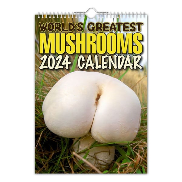 2024 Verdens største svampe kalender vægkalender hængende