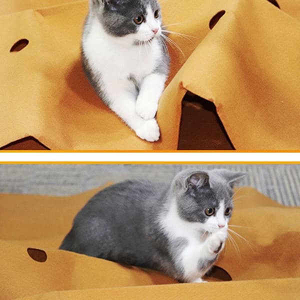 Cat Tunnel Cat Maze Activity Lekmatta