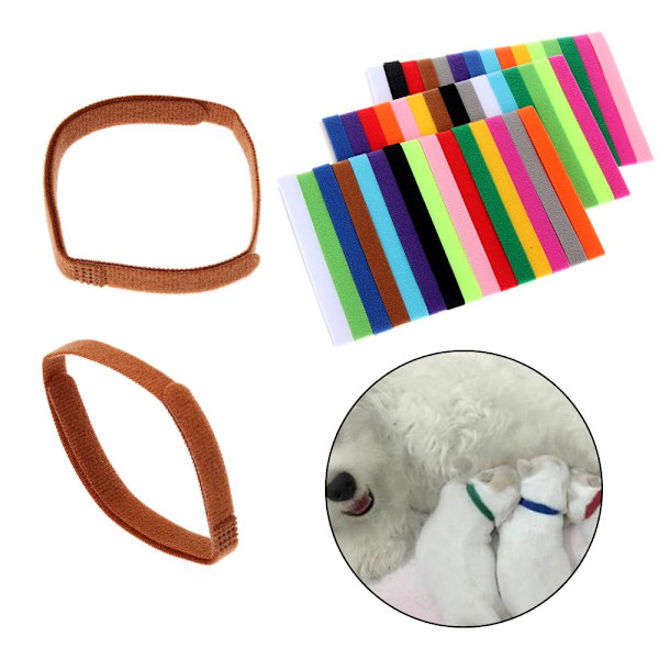 15PCS ID ID Collars Valp ID Collar Pet Supplies M-10x300mm