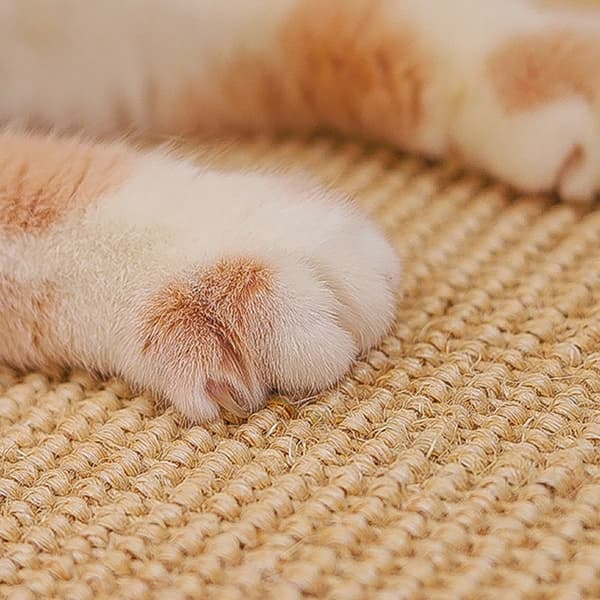 Cat Scratch Protect Matta Cat Scraper 30X40 30X40 30x40