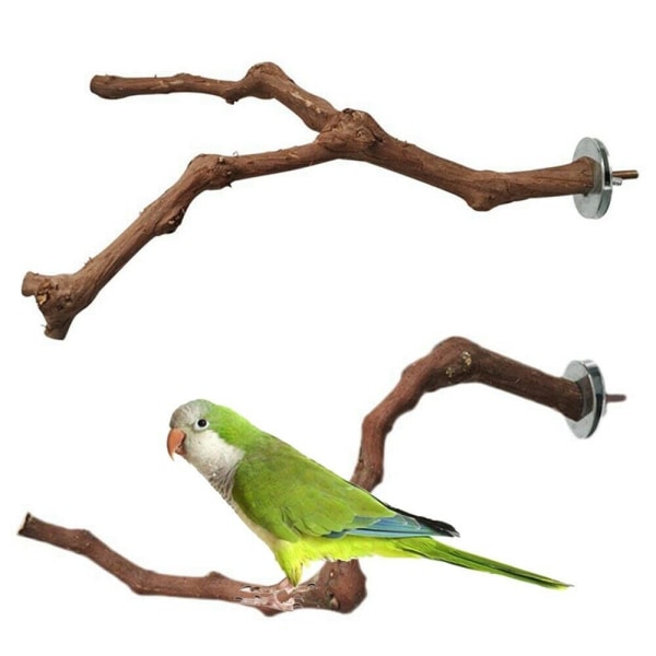 Wood Parrot Bird Stand Papegoja Trägren 1 1