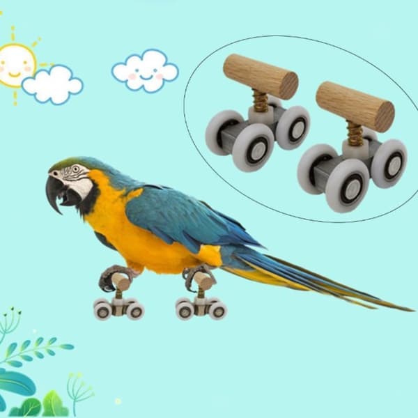 Parrots Roller Skates Parrot Toy S S