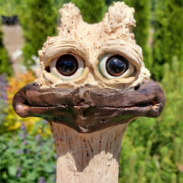 Skjult kylling Langhals KYLLINGHODE KYLLINGHODE chicken head