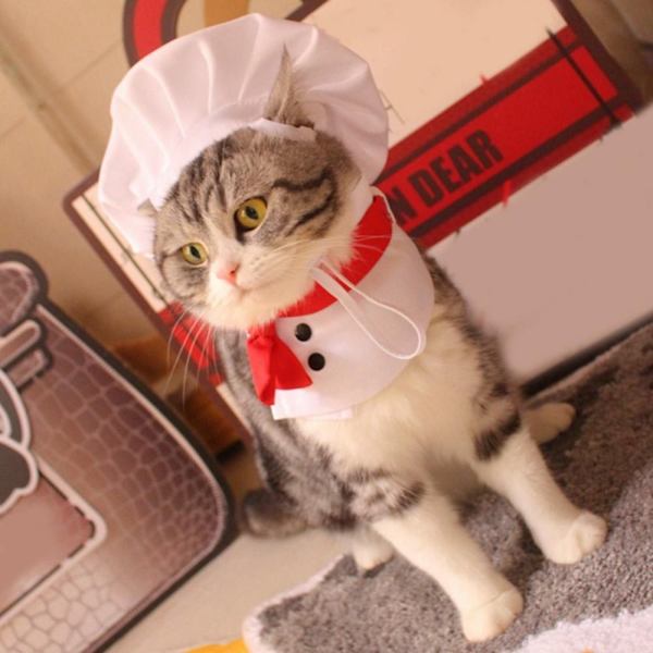 Cat Chef Hat Set Lemmikkien ruoanlaitto King Hat S S