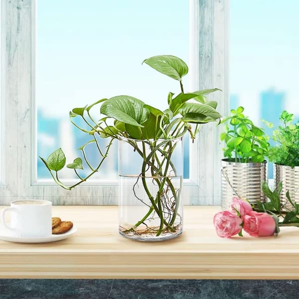 4-pack penna kopp pennhållare Organizer