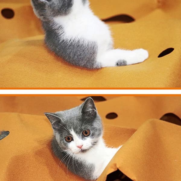 Cat Tunnel Cat Maze Activity Lekmatta