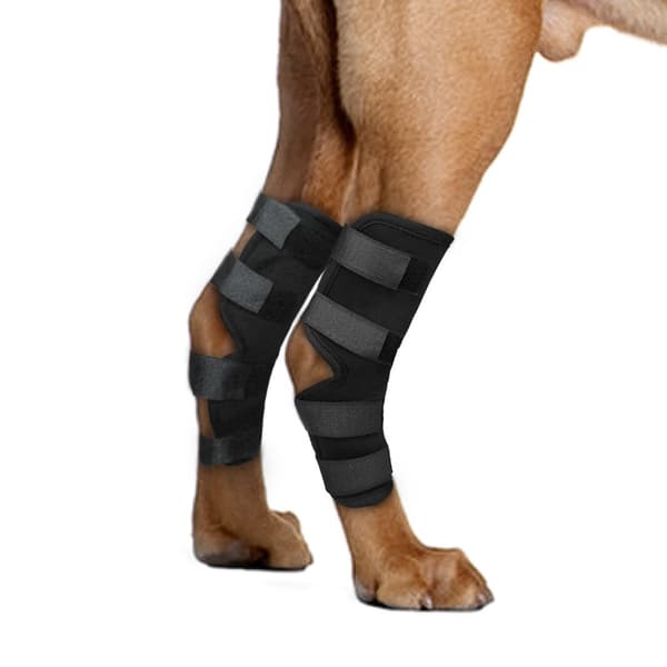 1 set Hundbandage Ben Knästöd M M