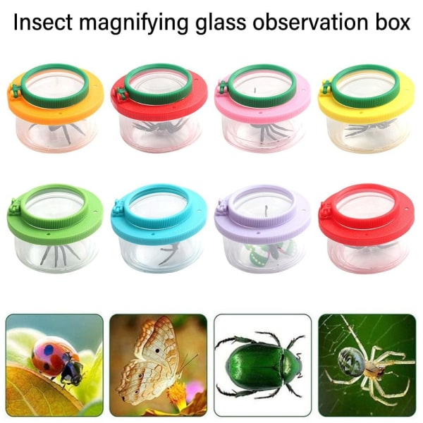 Bug Viewer Insect Box Magnifier 05 05 05