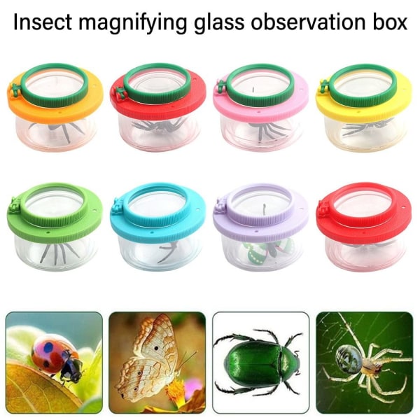 Bug Viewer Insect Box Magnifier 07 07 07