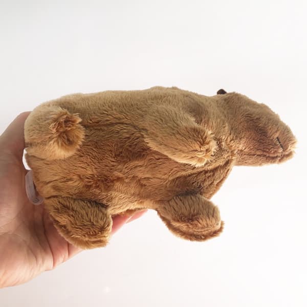 Capybara gnager kosedyr utstoppede dyr