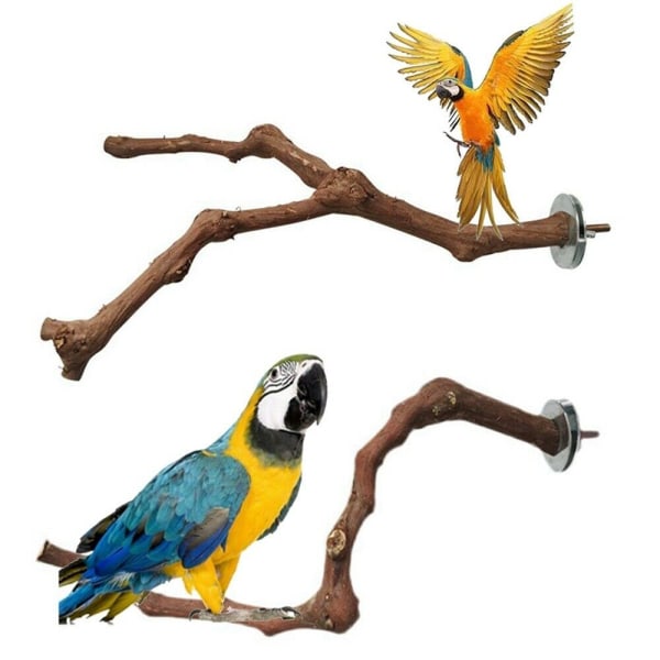 Wood Parrot Bird Stand Papegoja Trägren 1 1