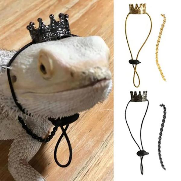 Lizard Ornament Pet Hat SORT FAST BETALING FAST BETALING Black Fixed payment-Fixed payment