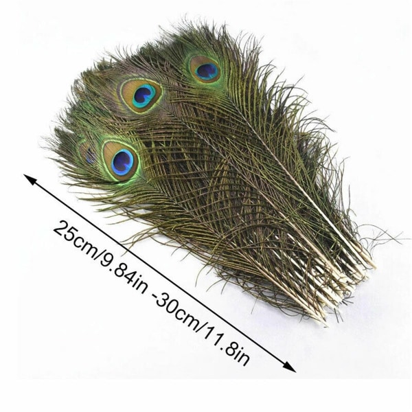 30 kpl Peacock Feather Natural Feather Tail