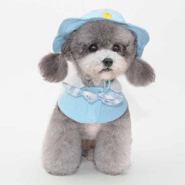 Pet Hat cap GUL M yellow M