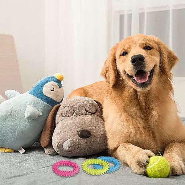 Chew Ring Toy Hampaat Lemmikkieläin VIHREÄ green