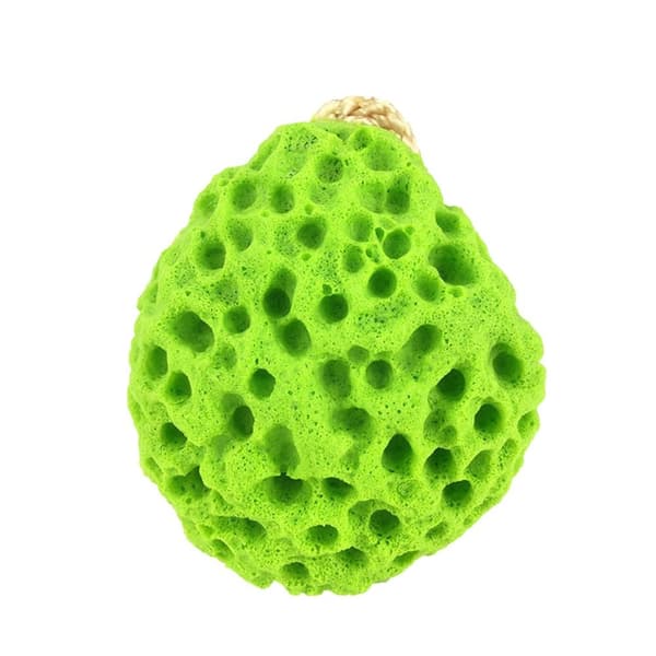 Badesvamp Brusesvampe 5 5 5