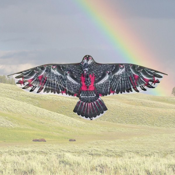 Eagle Kite Bird Drakar TYP C TYP C Type C