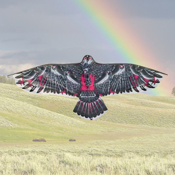 Eagle Kite Bird Drakar TYP D TYPE D Type D
