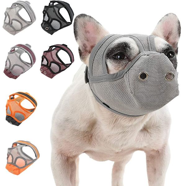 Kjæledyrhundsnuten ansiktsnett GRÅ S(36-39CM) Grey S(36-39cm)