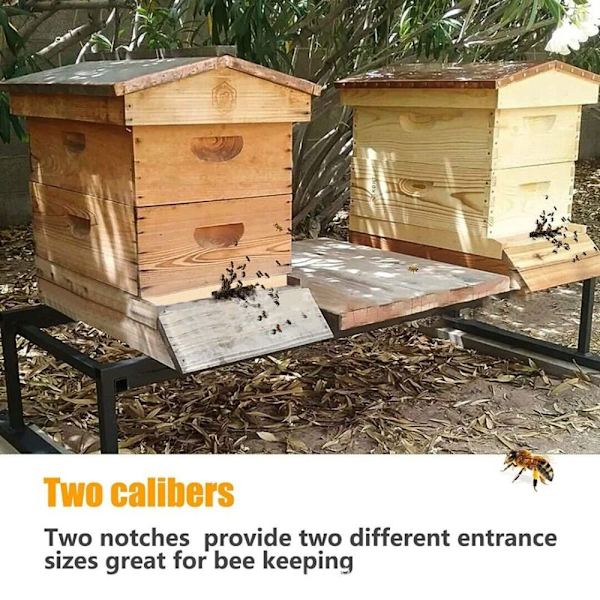 1/4 st Hive Entrance Protector Trä 1 STK 1 STK 1PCS
