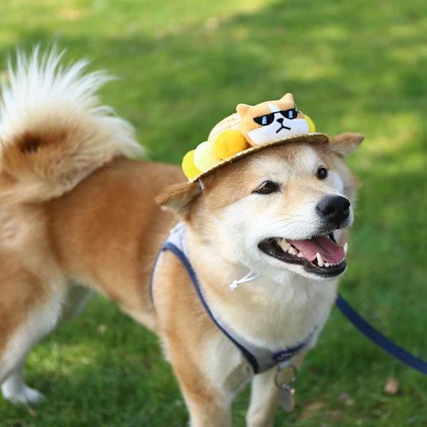 Pet Solhatt Hundehette STIL 3 STIL 3 Style 3