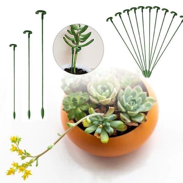 10 st/set Växtstöd Växtstöd Stake 17CM 17cm