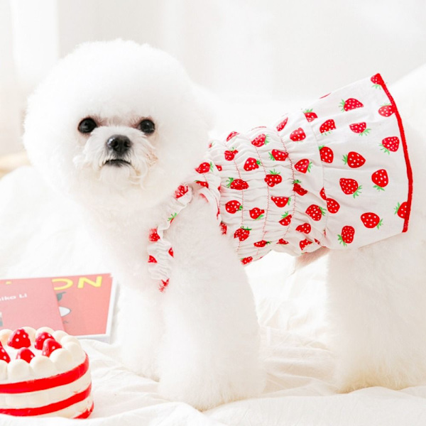 Pet Strawberry Dress Pet Hundetøj GUL XS yellow XS
