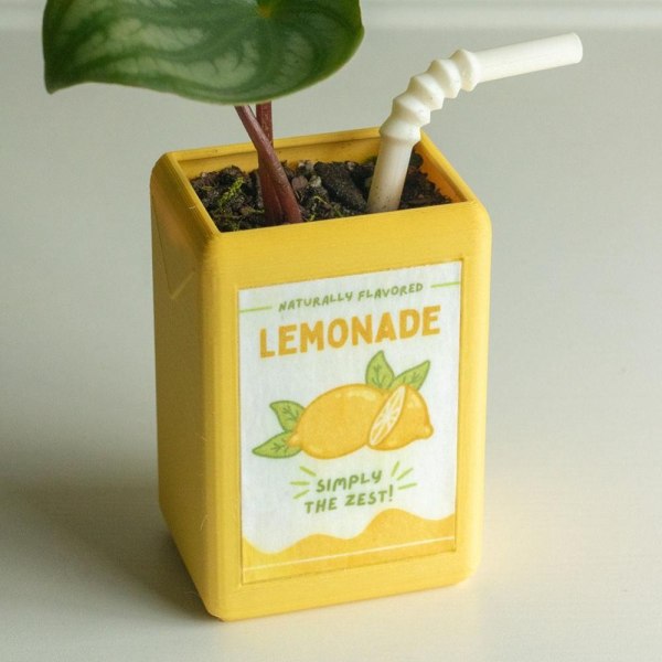 Juice Box Kukkaruukku Kukkaruukun koristelu LEMON LEMON Lemon