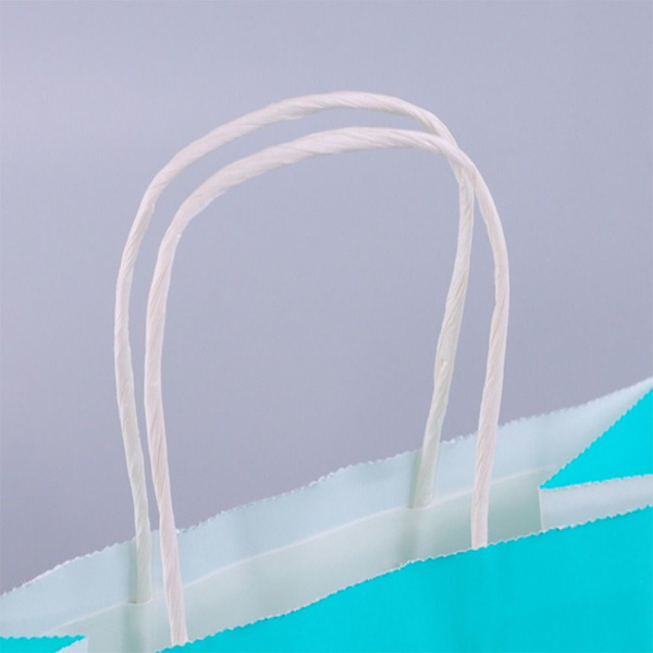 32 stk gaveposer med håndtak Party Favor Poser Små gaveposer 32Pcs