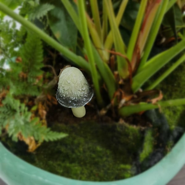 Resin soppstatue Sopppynt C C C