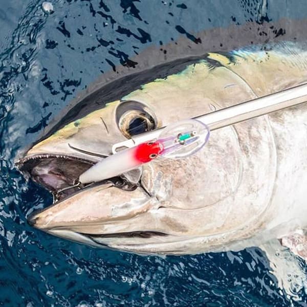 synkende Minnow Baits fiskekroker D D D