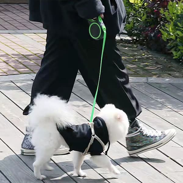 Infällbart hundkoppel Träning Hundkoppel RÖTT Red