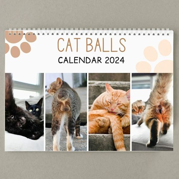 Katte-Bagdel Kalender 2025 Vægkale