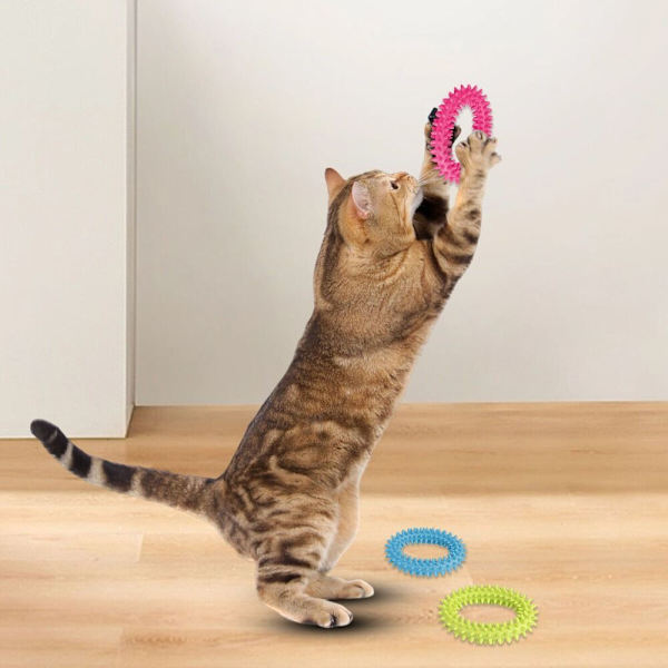 Chew Ring Toy Hampaat Lemmikkieläin VIHREÄ green