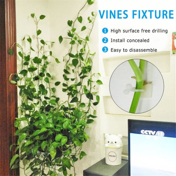 Plant Clip Rotting Clamp Wall Vines V-Vines S-10pcs
