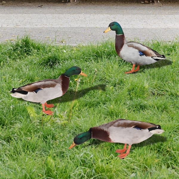 Akryl Duck Statyer Duck Sculpture A A A