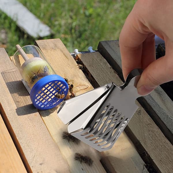 3 STK Queen Bee Cages Clips Beekeeping Clips Insektfanger