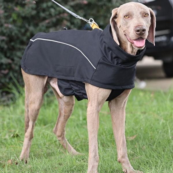 Pet Dog Kläder Pet Dog Jacka BLUE S Blue S
