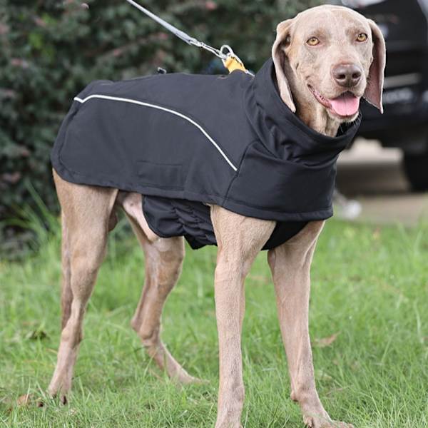 Pet Dog Kläder Pet Dog Jacka BROWN S Brown S