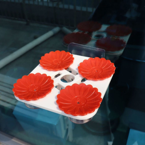 Hummingbird Feeder Kädessä pidettävät vedensyöttölaitteet RED Red