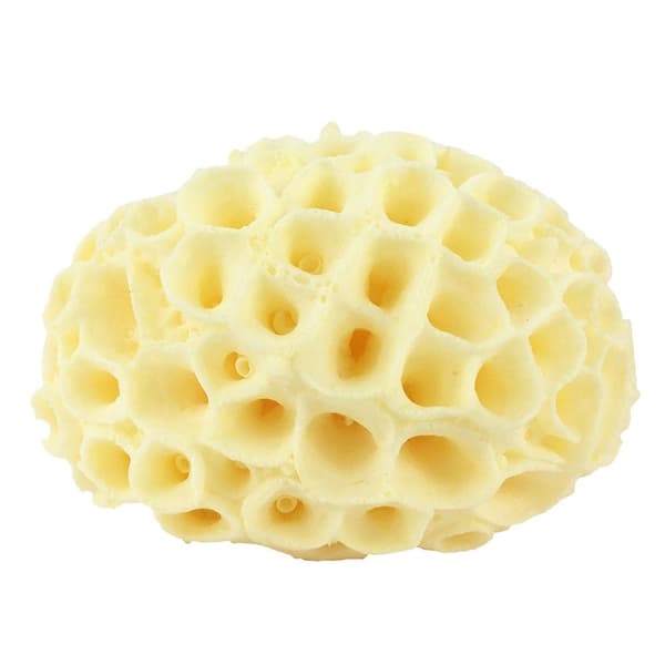 Badesvamp Brusesvampe 4 4 4