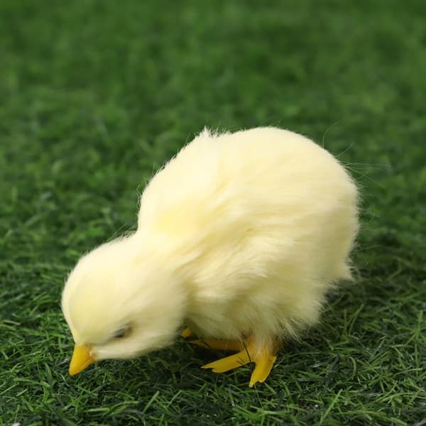 Vocalize Plush Chick Simulation Furry Chicken 1-FELLES 1-FELLES 1-Common