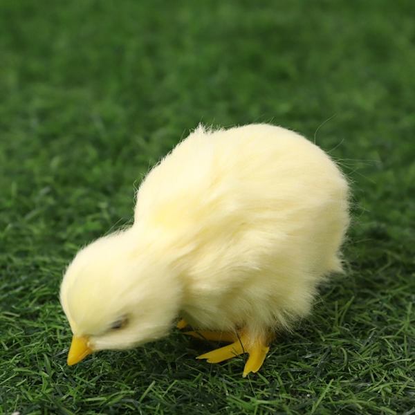 Vocalize Plysch Chick Simulering Furry Chicken 1-VANLIG 1-VANLIG 1-Common